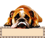 animiertes-leeres-namensschild-bild-0724